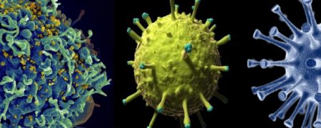 تصاویر ۱۲ ویروس کشنده که به طور فریبنده ای زیبا هستند