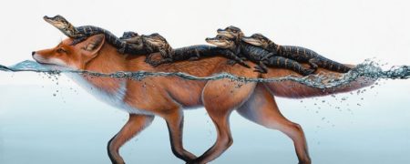 تصویرسازی های فراواقعی و زیبا از حیوانات که دنیا را به شکلی متفاوت نشان می دهند