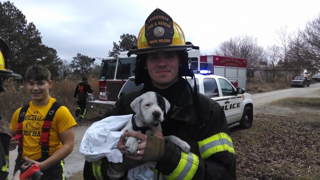 سگی که توسط آتش نشان از حریق نجات پیدا کرده
