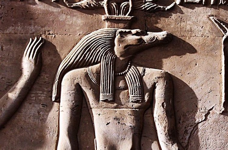 از «ساخت حرمسرا برای یک گاو» تا «جنگ خونین بر سر اسب های آبی»؛ حقایقی حیرت انگیز پیرامون ارتباط مصریان باستان با حیوانات