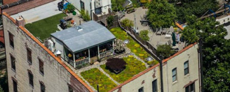 نگاهی به ۱۰ خانه باورنکردنی با نماهایی مرموز و مخفی