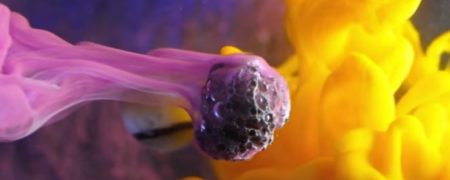 تصویر برداری ماکرو و نمایش دیدنی افکت های هیجان انگیز جلوه های ویژه [تماشا کنید]