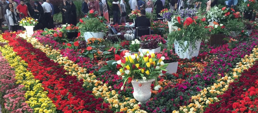 گزارش روزیاتو از نمایشگاه بین المللی گل و گیاه در بوستان گفتگو تهران