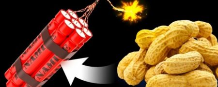 20 واقعیت بسیار جالب در مورد خوراکی های گوناگون که قبلا راجع به آن ها نشنیده اید