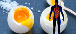 اگر هر روز ۲ عدد تخم مرغ بخورید، چه اتفاقی در بدن شما رخ می دهد؟