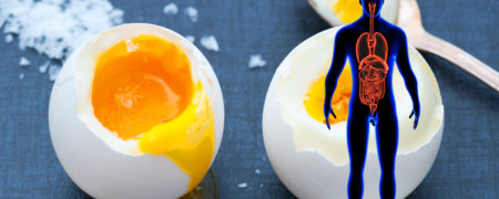 اگر هر روز ۲ عدد تخم مرغ بخورید، چه اتفاقی در بدن شما رخ می دهد؟