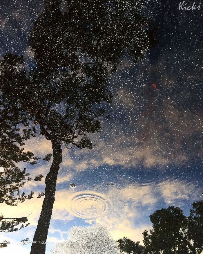 این تصویر در نگاه اول همانند آسمان پرستاره شب به نظر می رسد. اما در اصل، بازتاب آسمان و درختان درون چاله آب است.