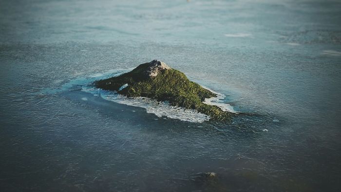 این سنگ پوشیده شده با خزه همانند یک جزیره جنگلی دیده می شود. 