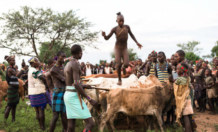 2015A_3775-MattWicks-Africa2015-Edit-South-Omo-Ethiopia-Part-2-Bull-Jumping-GreatDistances-900x545-w700