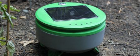 با ترتیل آشنا شوید؛ رباتی که به هرس کردن علف های هرز در باغچه می پردازد [تماشا کنید]