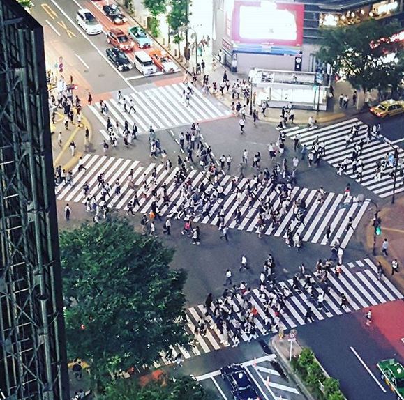 بسیاری از ما دوست داریم که هنگام عبور از چهارراه دقیقا از وسط خیابان رد شویم تا مسیر کوتاه تری را طی کنیم. همین مساله باعث شده تا شهرداری های شهرهای ژاپن، خط عابر موربی برای عابرین پیاده در نظر بگیرند. 