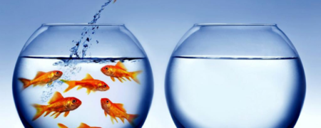 آزمایش جالبی که تقلید کورکورانه در جوامع انسانی را به زیبایی به تصویر می کشد [اینفوگرافیک]