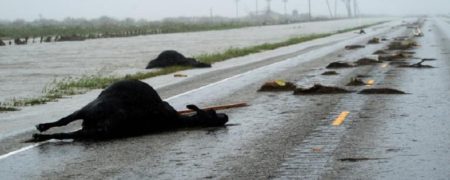 جهان در هفته ای که گذشت به روایت تصویر