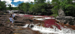 رودخانه «کانو کریستالس» در کلمبیا زیباترین رودخانه رنگین کمانی جهان [تماشا کنید]