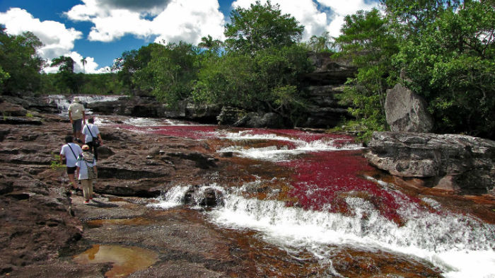 رودخانه «کانو کریستالس» در کلمبیا زیباترین رودخانه رنگین کمانی جهان [تماشا کنید]
