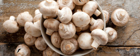 هر آنچه باید در مورد خواص و بهترین روش پخت قارچ ها بدانید