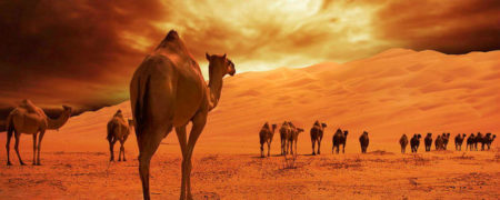 عجیب اما واقعی: امارات متحده عربی سالانه میلیون ها تن شن از کشورهای دیگر وارد می کند