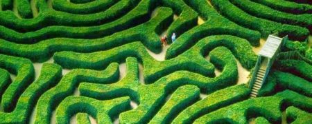 نگاهی به طولانی ترین ماز جهان که با شمشاد ساخته شده است