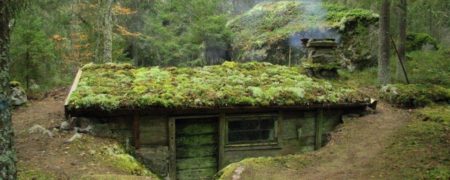 نگاهی به کلبه های روستایی یکصد ساله در کشور سوئد