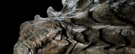 کشف «مومیایی» نسبتاً سالم و دست نخورده یک دایناسور غول پیکر در کانادا