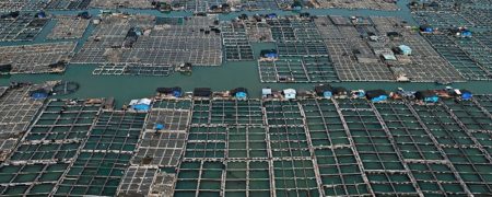 نگاهی به مزارع شناور و قفس های دریایی پرورش ماهی در کشور چین