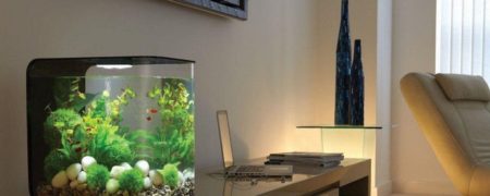 آنچه باید قبل از خرید آکواریوم بدانید [رپورتاژ آگهی]