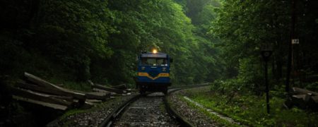 با قطار و از دل جنگل به شمال سفر کنید