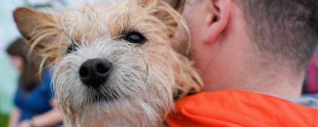 سگ های خانگی به عمر صاحبان خود می افزایند