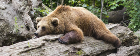 حالت های مختلف خوابیدن چه تاثیری بر روی سلامتی شما خواهند داشت؟