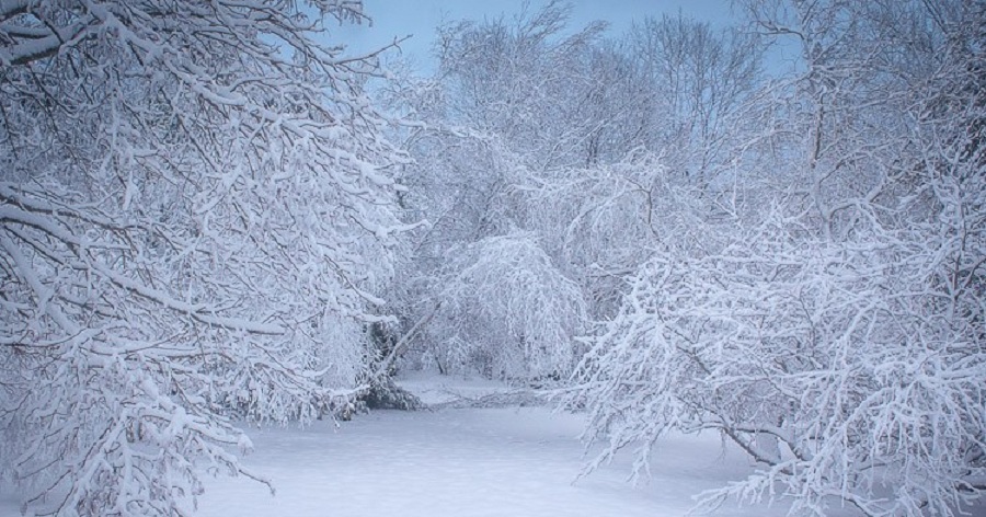 ترفندهای عکاسی در برف؛ دانستنی‎‌های لازم برای مبتدیان