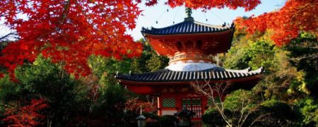 نگاهی به هیروشیما؛ شهری که «صلح و دوستی» صادر می‌کند