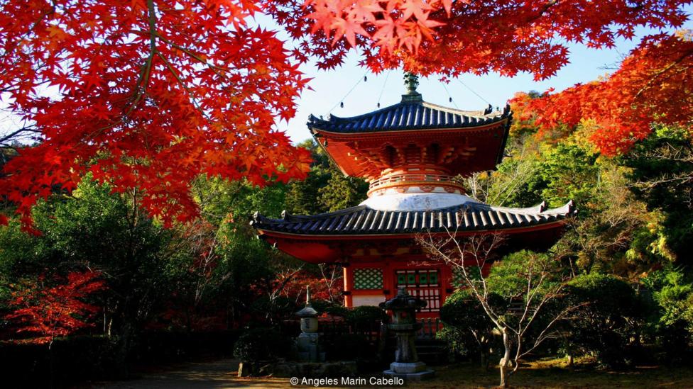 نگاهی به هیروشیما؛ شهری که «صلح و دوستی» صادر می‌کند