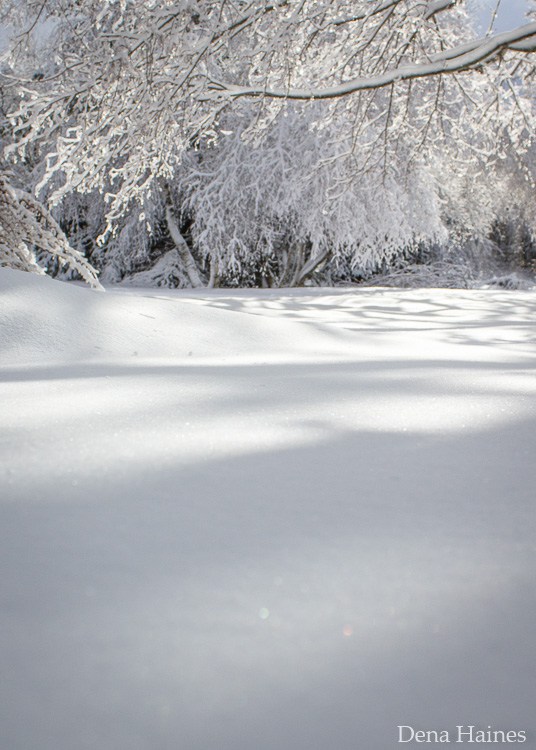 ترفندهای عکاسی در برف