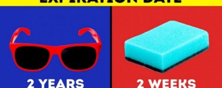 بیست چیزی که تاریخ انقضایشان را نمی دانیم