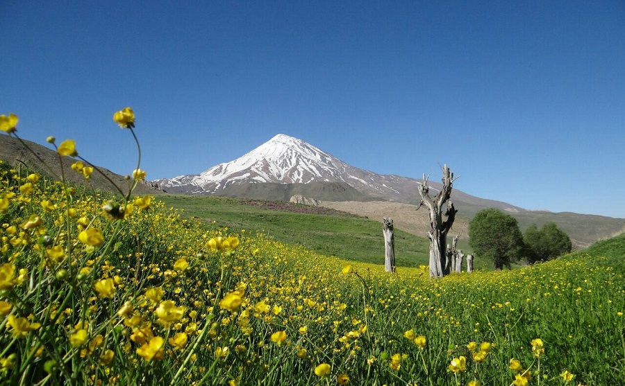 ۱۲ واقعیت جالب و خواندنی در مورد کوه دماوند؛ مظهر پایداری در ایران