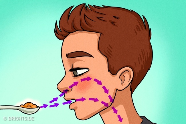 آیا می‌دانید «بو» چه تاثیری روی مغز انسان دارد؟