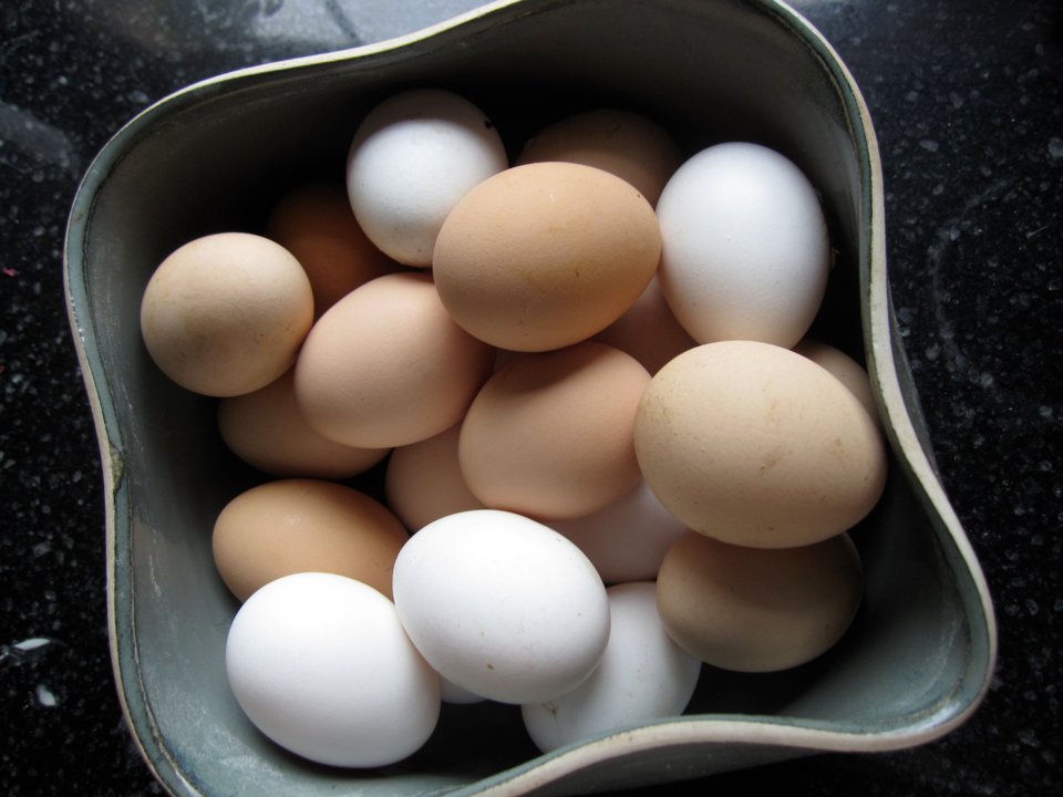 تخم‌ مرغ در کشورهای مختلف جهان چگونه سرو می‌شود
