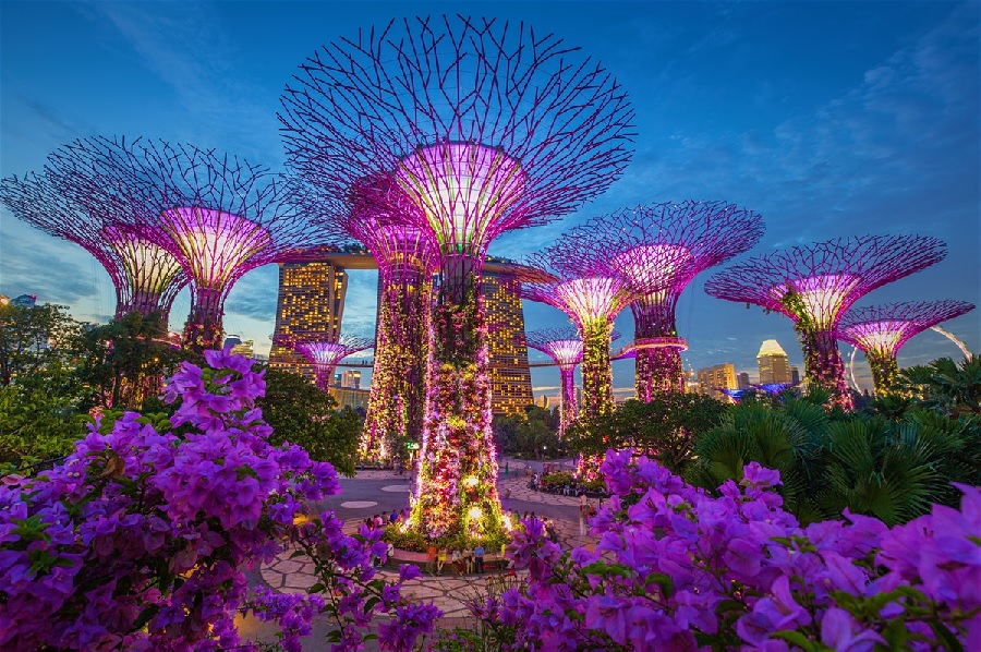 چگونه سنگاپور، سنگاپور شد؟ درس هایی از خصوصی سازی  یک غول