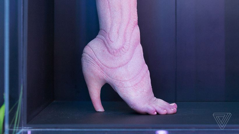 A.Human : نمایشگاه هنری از پوست و گوشت انسان