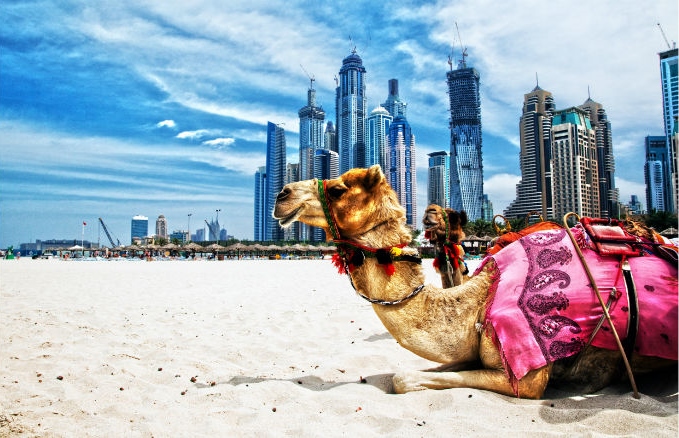 داستان دبی: چگونه بیابانی برهوت به قطب تجاری خاورمیانه تبدیل شد؟