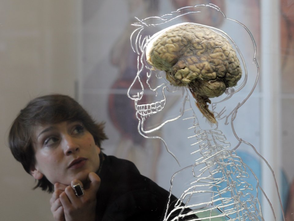 11 حقیقت عجیب و بسیار جالب در مورد مغز انسان