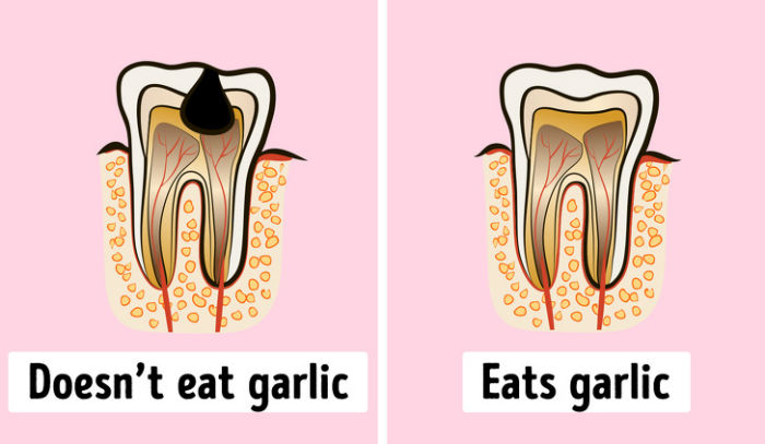 سیر (Garlic) گیاهی است که هر کدام از ما دستکم یکبار آن را امتحان کرده ایم