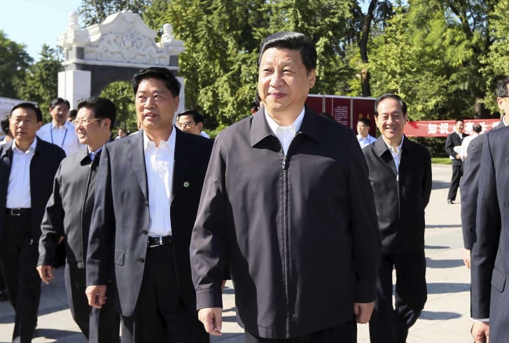 موهای خاکستری شی جین پینگ، رییس جمهور چین