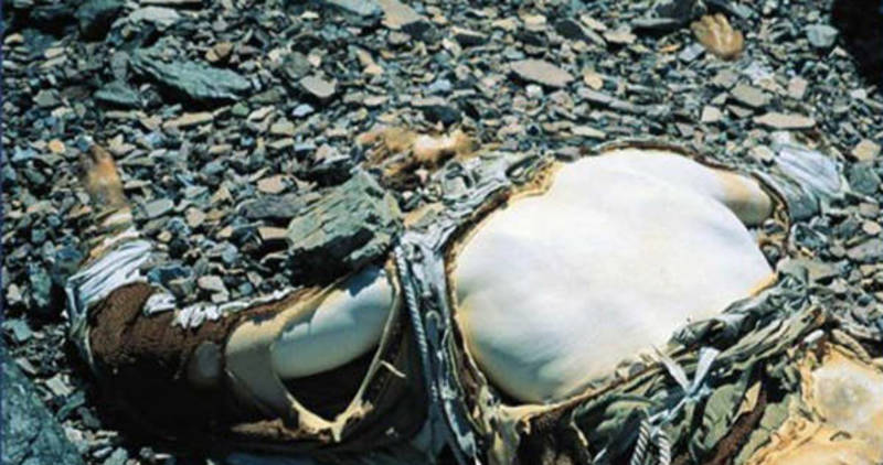 اورست، بلندترین قله جهان باز هم قربانی گرفت؛ 7 کشته در 7 روز
