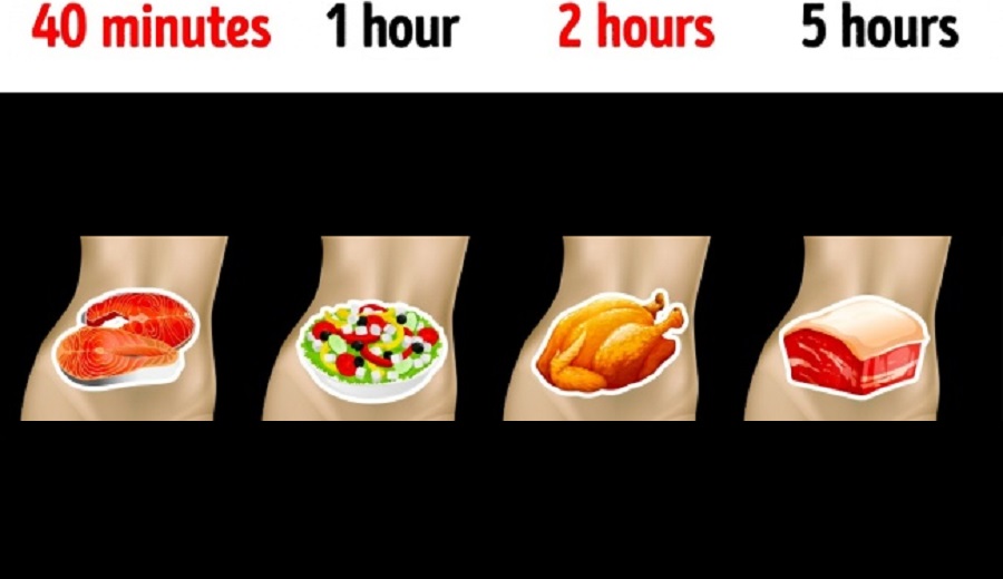 هضم غذاهای مختلف چقدر طول می‌کشد؟