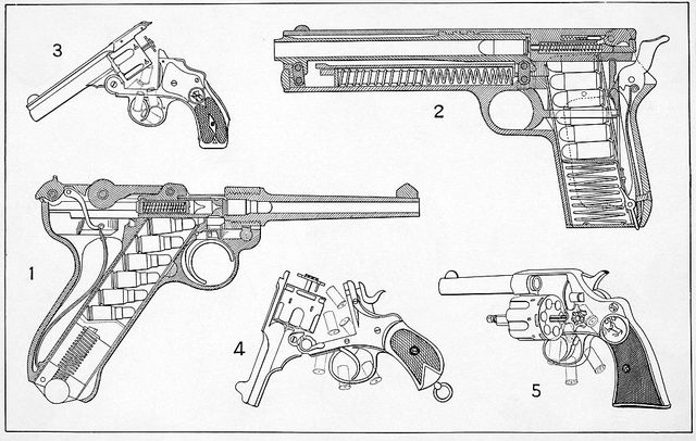 انواع تفنگ