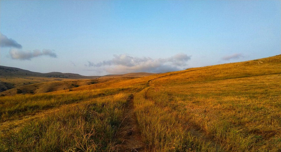 پارک ملی گلستان