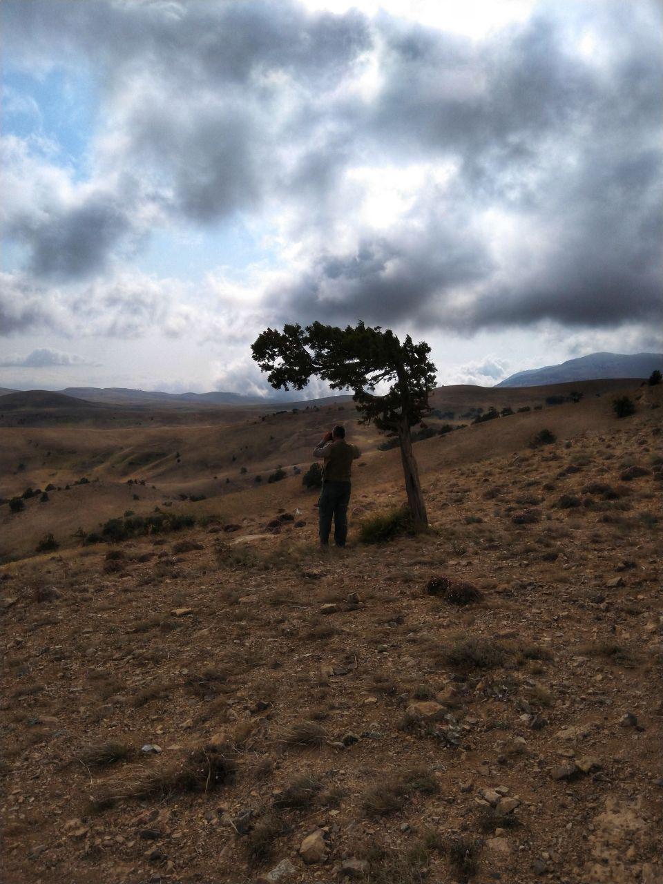 پارک ملی گلستان