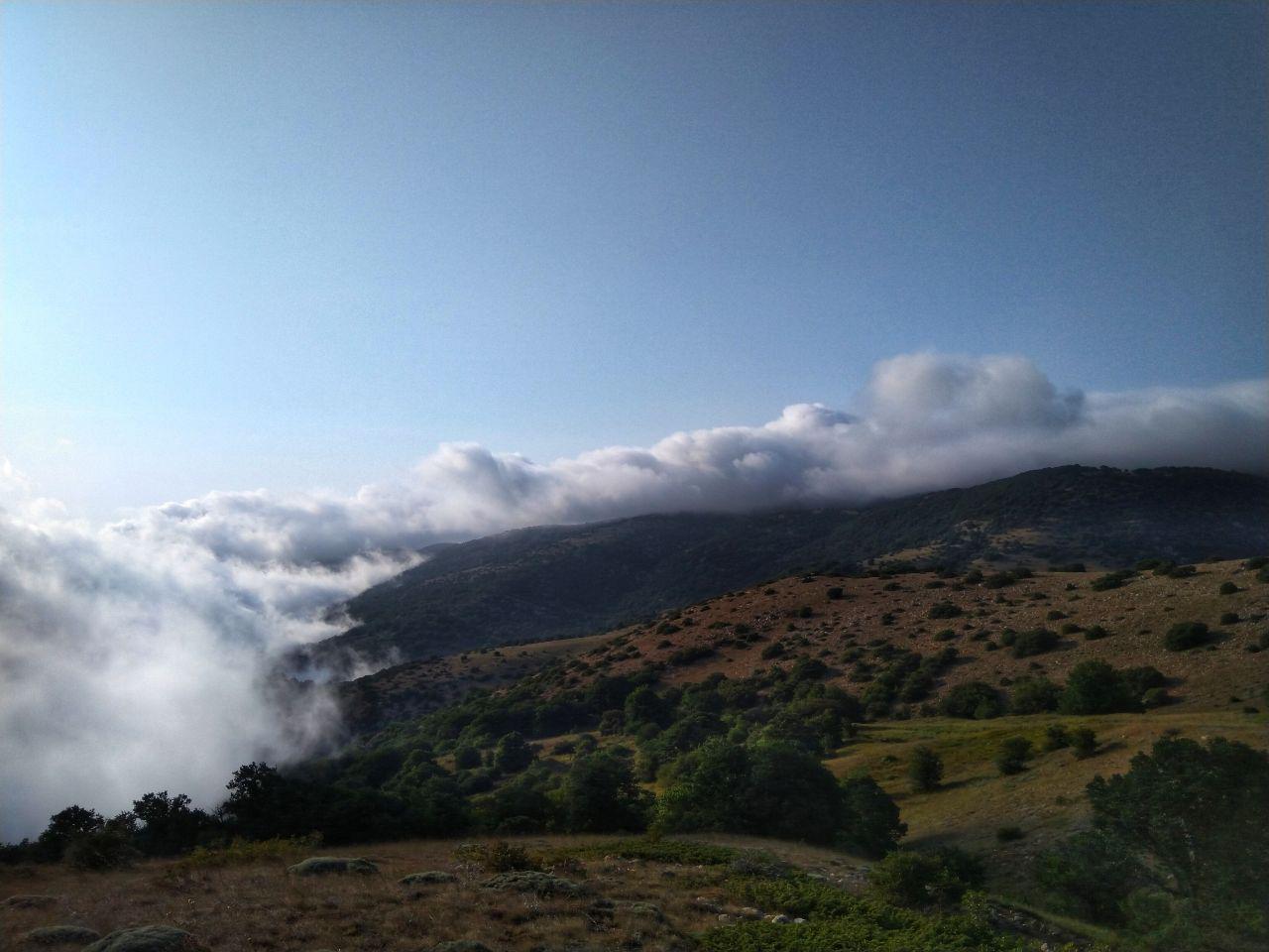 پارک ملی گلستان