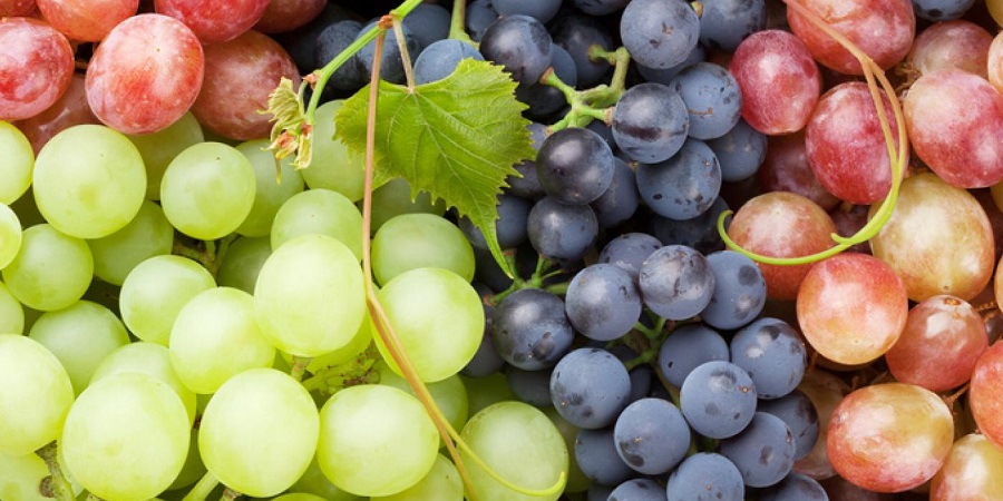 با فواید و مضرات مصرف «انگور» آشنا شوید
